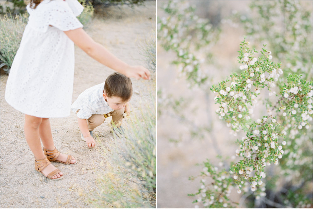 Alexis Ralston Photography | Joshua Tree Family Photographer | Mommy and Me | Joshua Tree | Zara Outfits | Family Session Inspiration | What to Wear to your Family Session | Fuji 400h | Pentax 645Nii.jpg